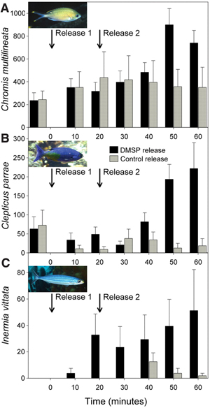             ,   ( ).       . Release () 1  2  ,           .      ,       10 .     ,   . .     Science