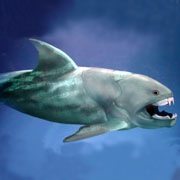 Dunkleosteus terrelli      -       