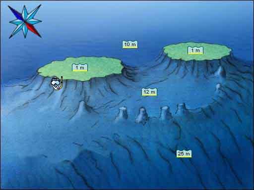 The Alternatives/Stingray station