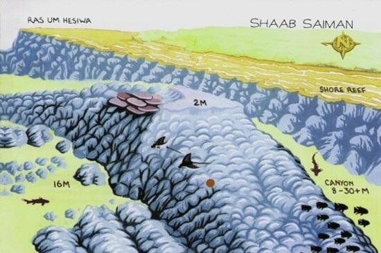 Shaab Saiman