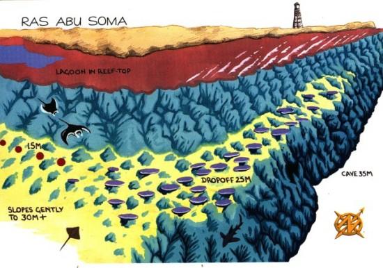 RAS ABU SOMA