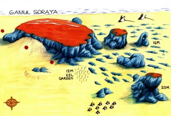 GAMUL SORAYA