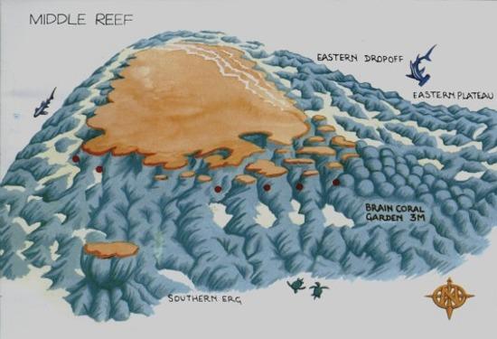 MIDDLE REEF