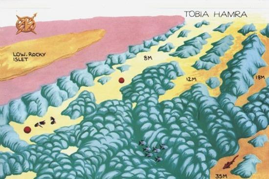 TOBIA HAMRA