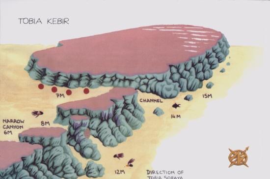 Tobya Kebir