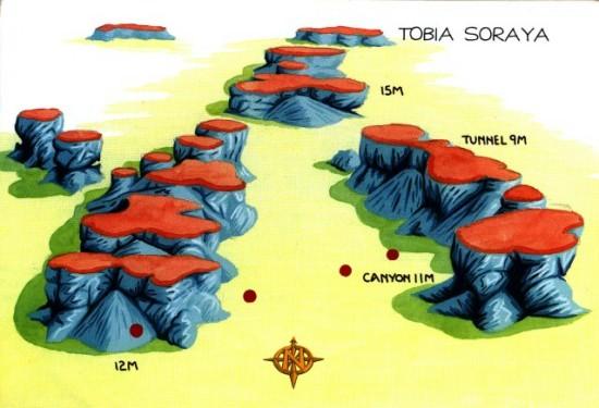 TOBIA SORAYA