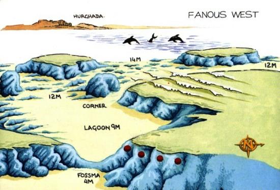 FANOUS - WEST