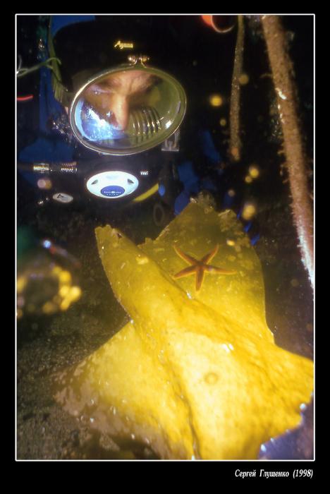 Чемпионат мира по подводному фотографированию 1998 г.