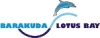 BARAKUDA DIVING CENTER LOTUS BAY 