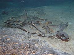   (Turtle Cavern)