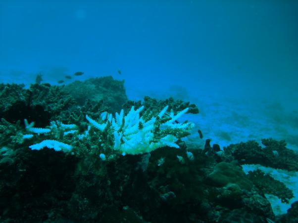 DSC07578