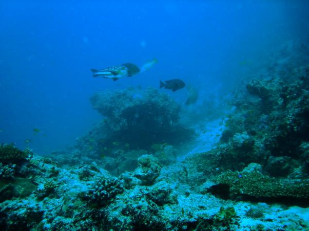 DSC07797