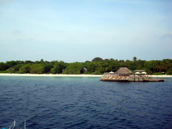DSC07834