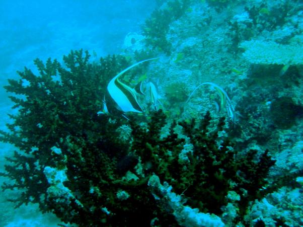 DSC08018