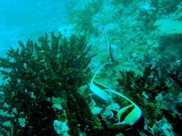DSC08019