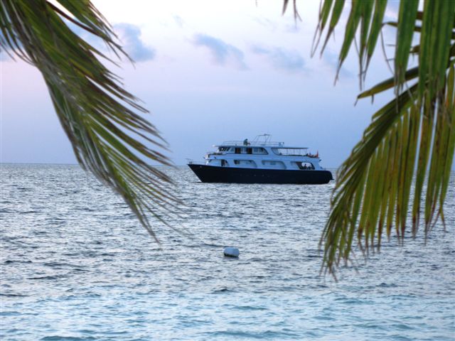 amphibiya diving boat