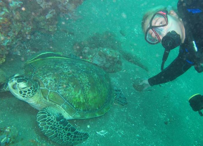 Eldorado house reef