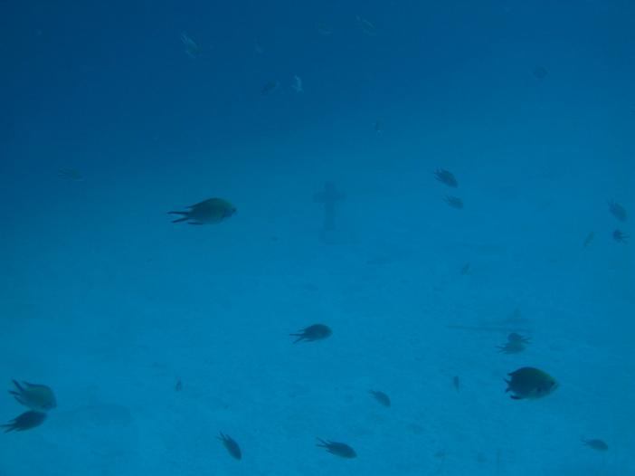 www.dive-man.ru
