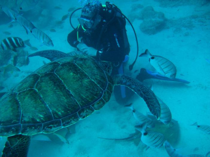 www.dive-man.ru