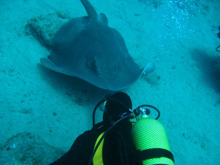 www.dive-man.ru
