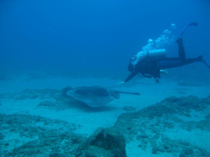 www.dive-man.ru