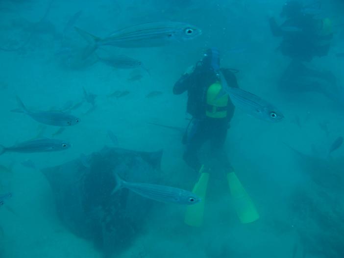 www.dive-man.ru