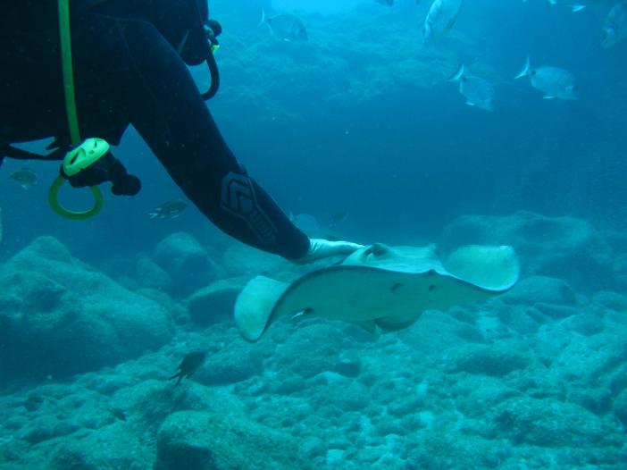 www.dive-man.ru