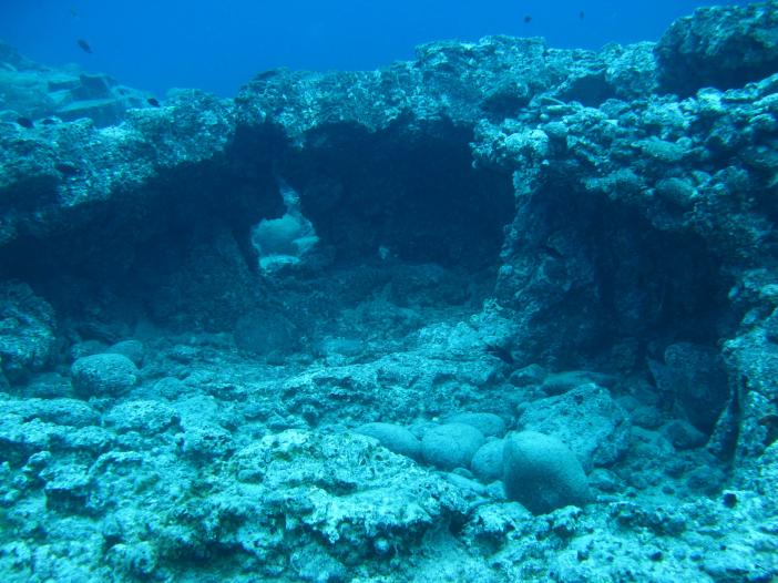 www.dive-man.ru