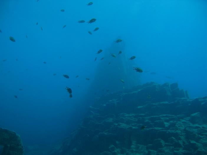 www.dive-man.ru