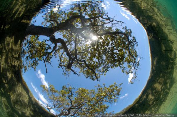  . Looking up.