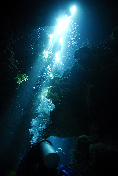 Подводные пещеры и каньоны.