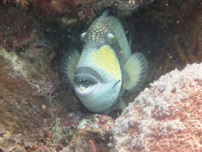 Sipadan