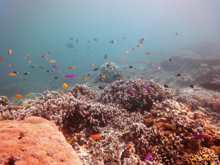 Sipadan