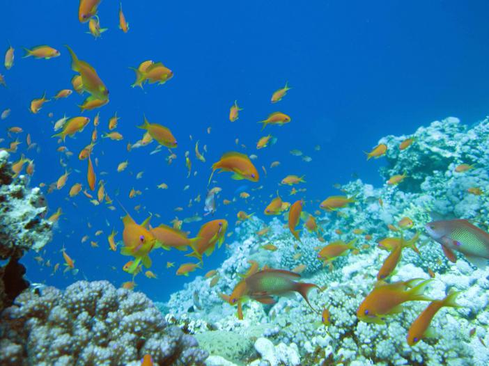 Blue Hole Dahab