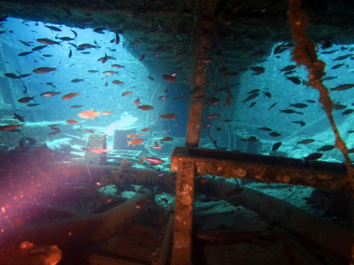    -    http://www.acdcdivingphuket.com/