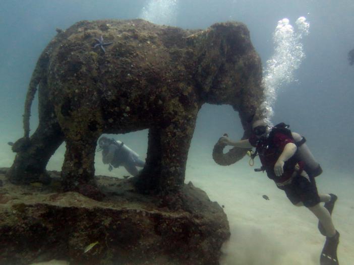     -    http://www.acdcdivingphuket.com/