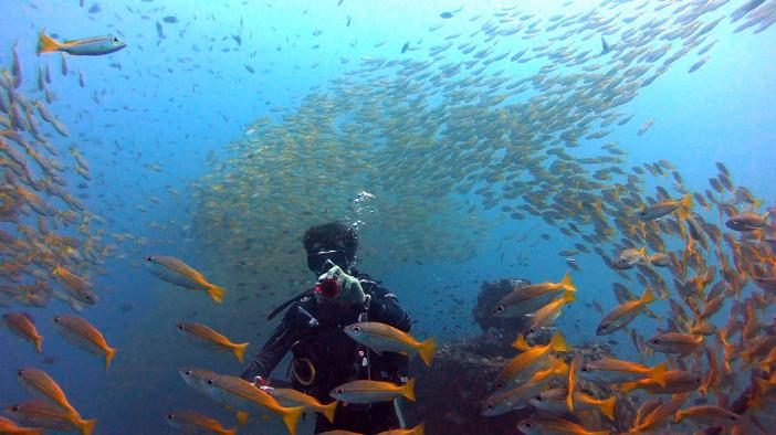   Chang Wreck