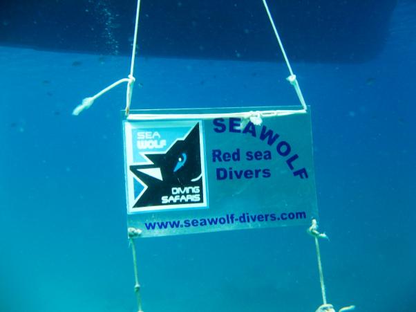 Seawolf   