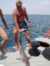 Рыбалка на черноморскую акулу.