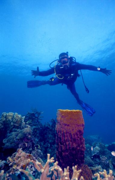 ��� �������� ������ ������.