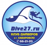   DIVE27