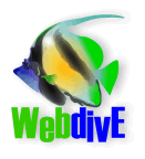 WebDive - открытый клуб сертифицированных любителей и профессионалов дайвинга.
