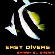 Easy Divers Sharm -  