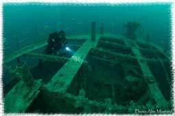 ������������