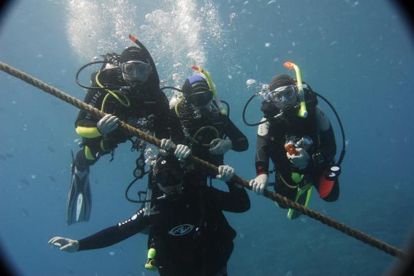 ������ 2009