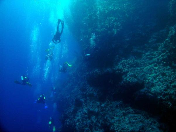 ������� ����