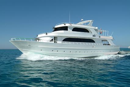 ����� ����