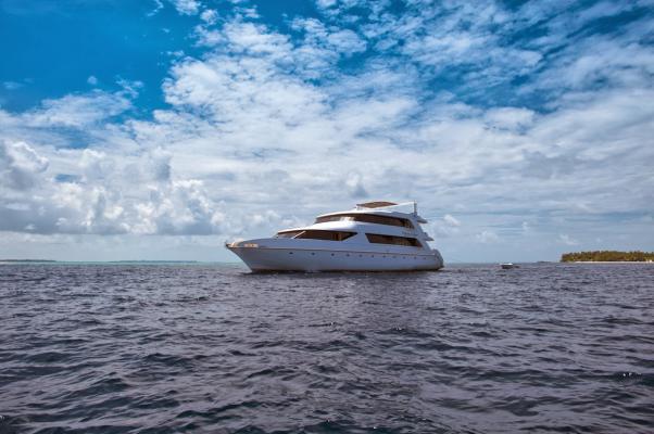 M/Y Princess Ushwa