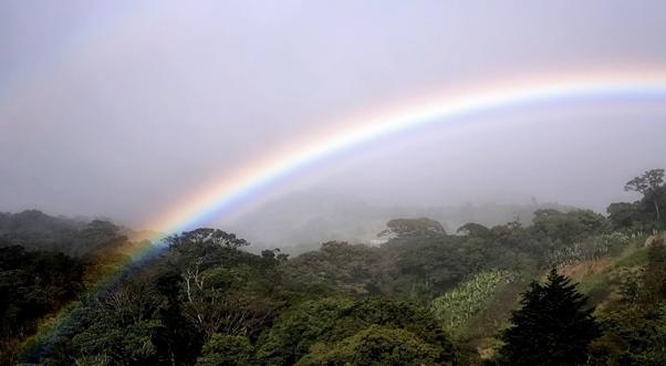 ����� ����