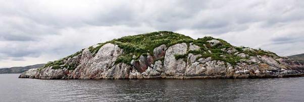 Кислая Губа